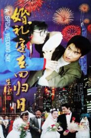 A Special Wedding Day 1997 on netflix
