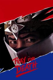 Pray for Death 1985 on netflix