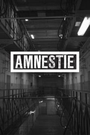 Amnesty 2019 on netflix