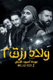 Sons of Rizk 2: Return of the Lions of the Land 2019 on netflix