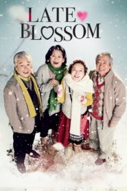 Late Blossom 2011 on netflix