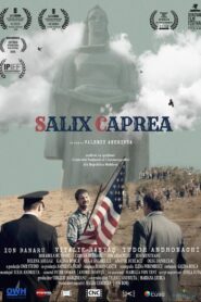 Salix Caprea 2018 on netflix