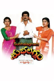 Subhalagnam 1994 on netflix