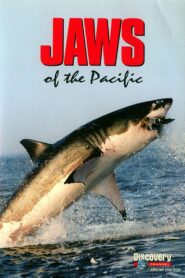 Jaws of the Pacific 2005 on netflix
