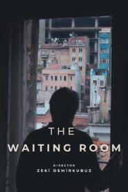The Waiting Room 2004 on netflix