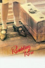 Rambling Rose 1991 on netflix