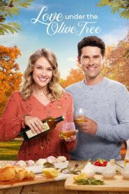 Love Under the Olive Tree 2020 on netflix