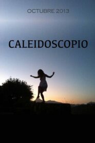 Kaleidoscope 2013 on netflix