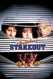 Another Stakeout 1993 on netflix