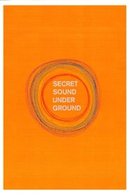 Secret Sound from Underground 2013 on netflix