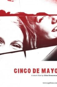 Cinco de Mayo 2008 on netflix