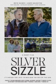 SilverSizzle 2024 on netflix