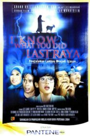I Know What You Did Last Raya 2004 on netflix
