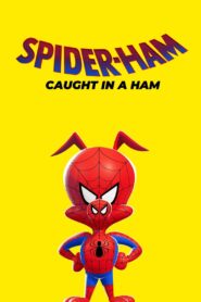 Spider-Ham: Caught in a Ham 2019 on netflix
