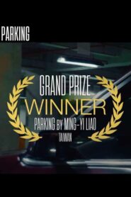 Parking 2019 on netflix