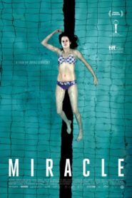 Miracle 2013 on netflix