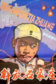 解放石家庄 1981 on netflix