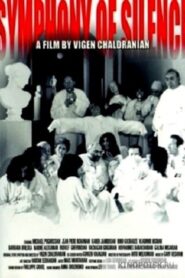 Symphony of Silence 2001 on netflix