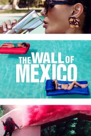 The Wall of Mexico 2020 on netflix