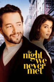 The Night We Never Met 1993 on netflix