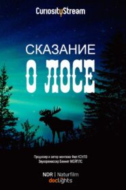 The Moose Movie 2020 on netflix