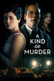 A Kind of Murder 2016 on netflix
