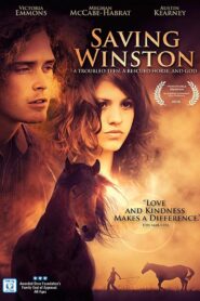 Saving Winston 2011 on netflix