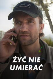 Life Must Go On 2015 on netflix