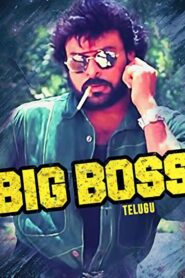 Big Boss 1995 on netflix