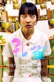 Peacock 2018 on netflix