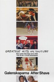 Greatest hits on Youtube 2008 on netflix