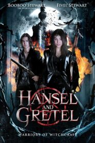 Hansel & Gretel: Warriors of Witchcraft 2013 on netflix