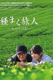 A Sower of Seeds 2012 on netflix