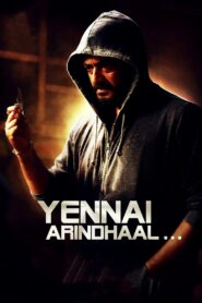 Yennai Arindhaal 2015 on netflix
