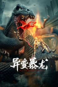 Metamorphosis 2022 on netflix