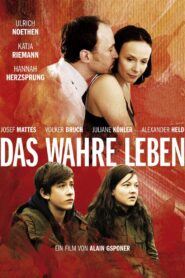 Life Actually 2007 on netflix