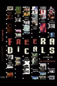 Free Radicals: A History of Experimental Film 2011 on netflix