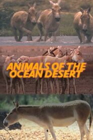 Animals of the Ocean Desert 2001 on netflix