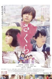 Sakura 2020 on netflix