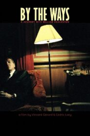 By the Ways, a Journey with William Eggleston 2006 on netflix