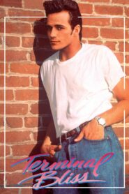 Terminal Bliss 1992 on netflix