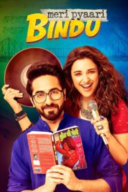 Meri Pyaari Bindu 2017 on netflix