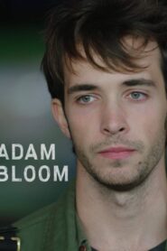 Adam Bloom 2020 on netflix