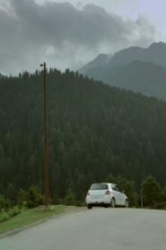 The Guest 2016 on netflix