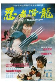 Ninjas and Dragons 1984 on netflix