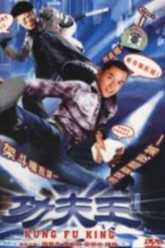 功夫王 2005 on netflix