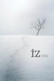 The Trace 2011 on netflix