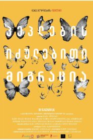 Forced Migration of Butterflies 2023 on netflix