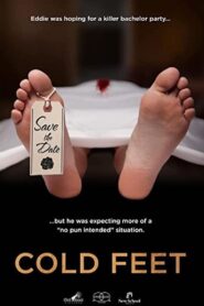 Cold Feet 2019 on netflix