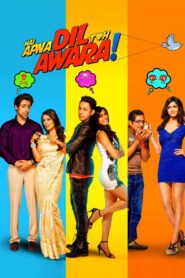 Hai Apna Dil Toh Awara 2016 on netflix